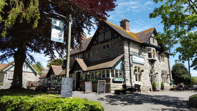 Image of The Springhead
